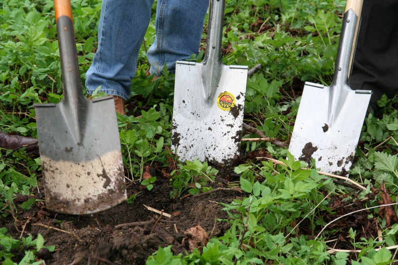 pepiniere-ROUGIERS-min_work-lawn-flower-tool-green-backyard-1103633-pxhere.com